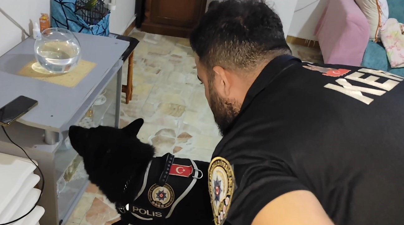 Bakan Yerlikaya a&ccedil;ıklamıştı: O operasyonda 351 ş&uuml;pheli tutuklandı
