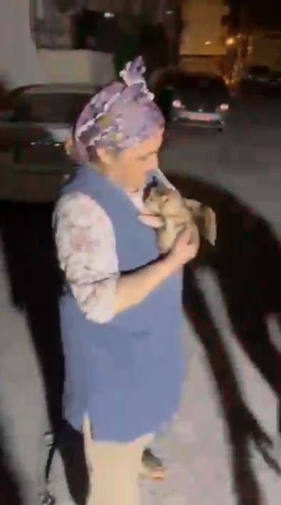 Demir profile sıkışan kediyi itfaiye ekipleri kurtardı