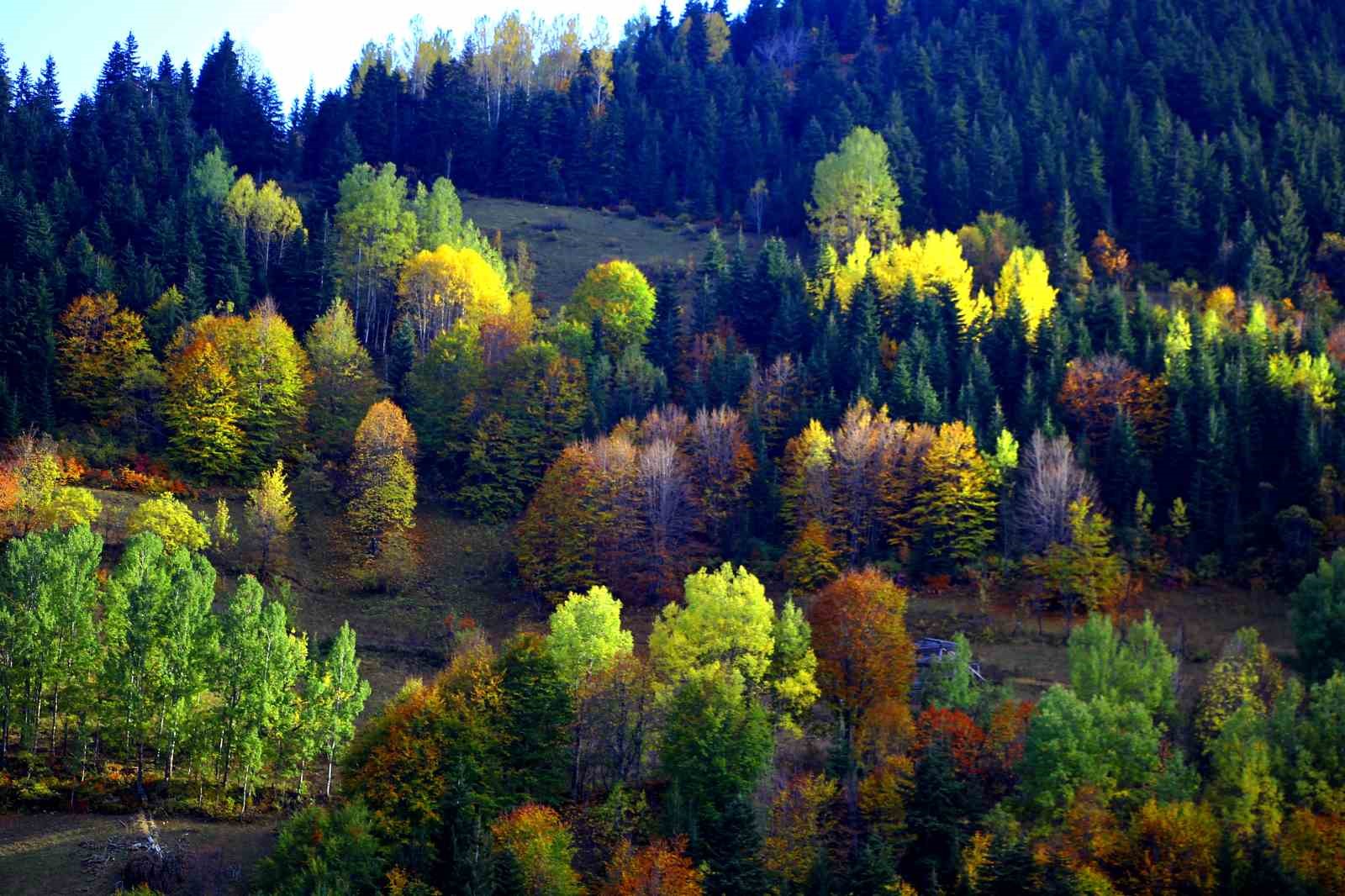 Şavşat’ın seyrine doyum olmayan sonbahar güzelliği
