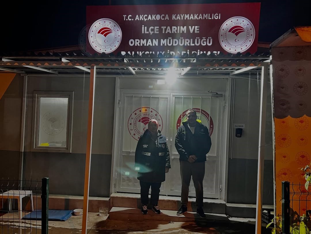 Karadeniz&rsquo;de hamsi yoğunluğu devam ediyor
