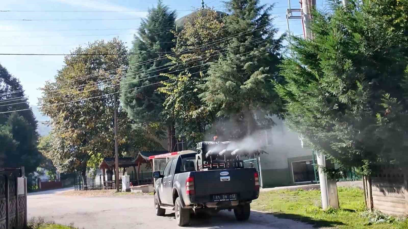 Kahverengi kokarca ile m&uuml;cadele s&uuml;r&uuml;yor
