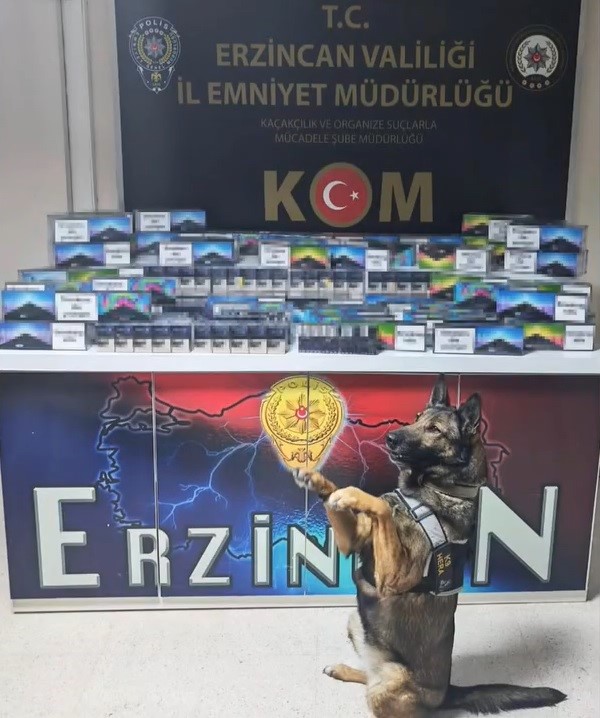 Erzincan’da dedektör köpeği hera, 11 bin 600 kaçak ürünü yakalattı