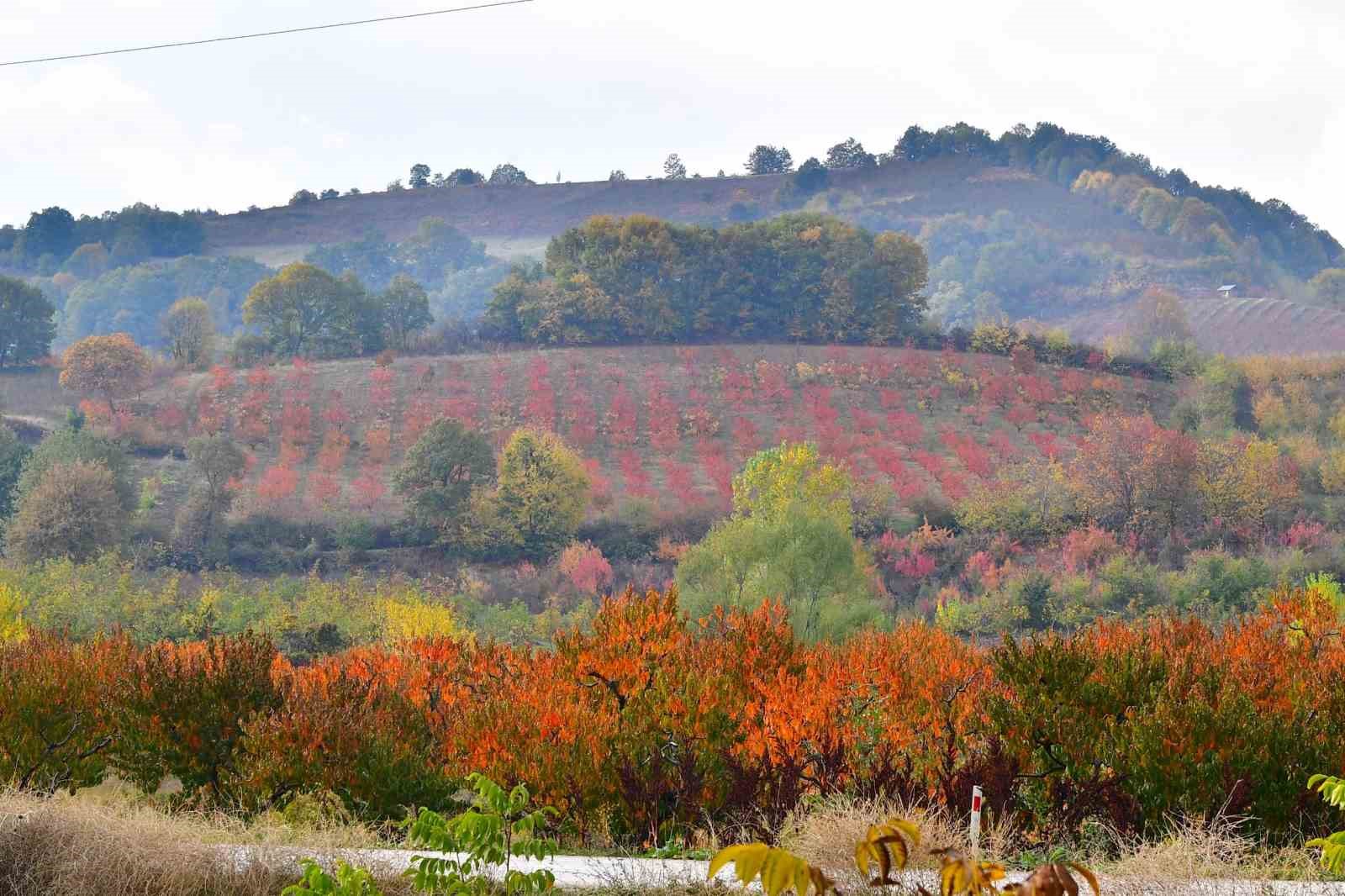İnegöl’de kartpostallık görüntüler