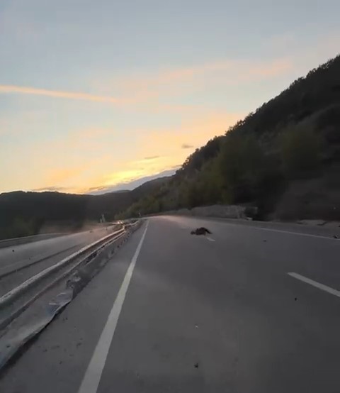 Motosikletiyle bariyere çarpmıştı, hayata 25 gün tutunabildi
