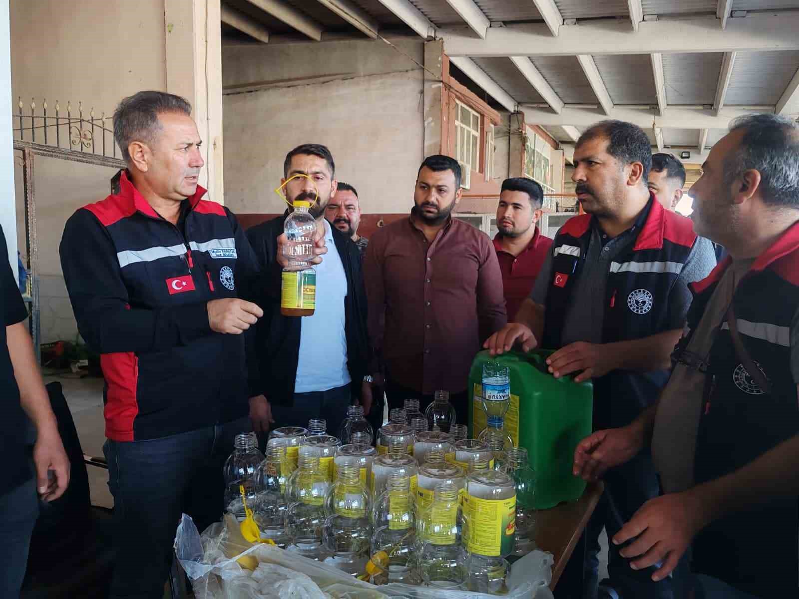 Akdeniz meyve sineği ile m&uuml;cadele s&uuml;r&uuml;yor
