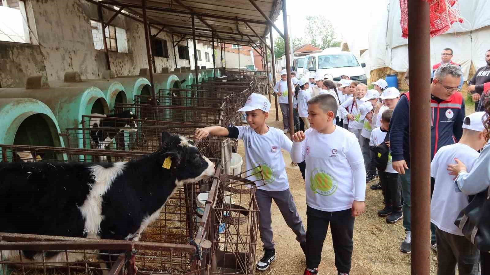 Minik eller toprağa dokundu, üretimin değerini öğrendi