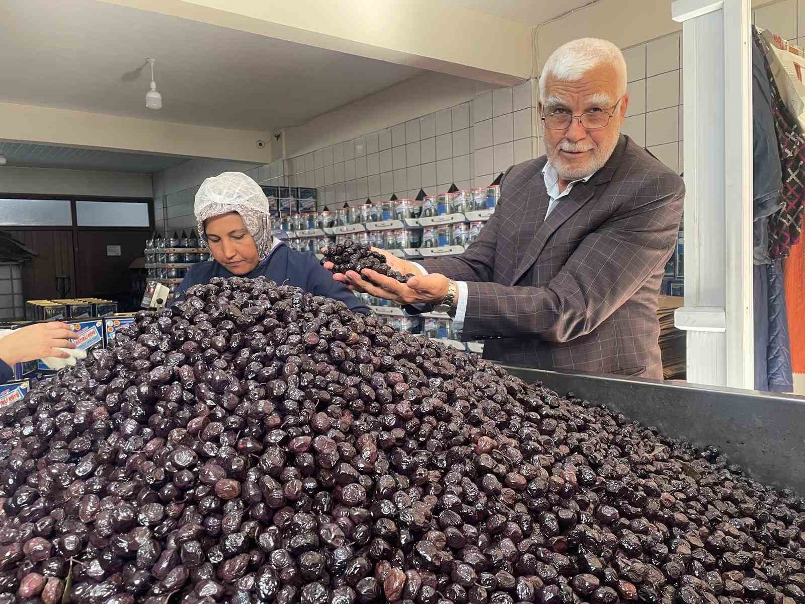 Her 6 sofralık zeytinden birini Bursa ve Balıkesir üretecek