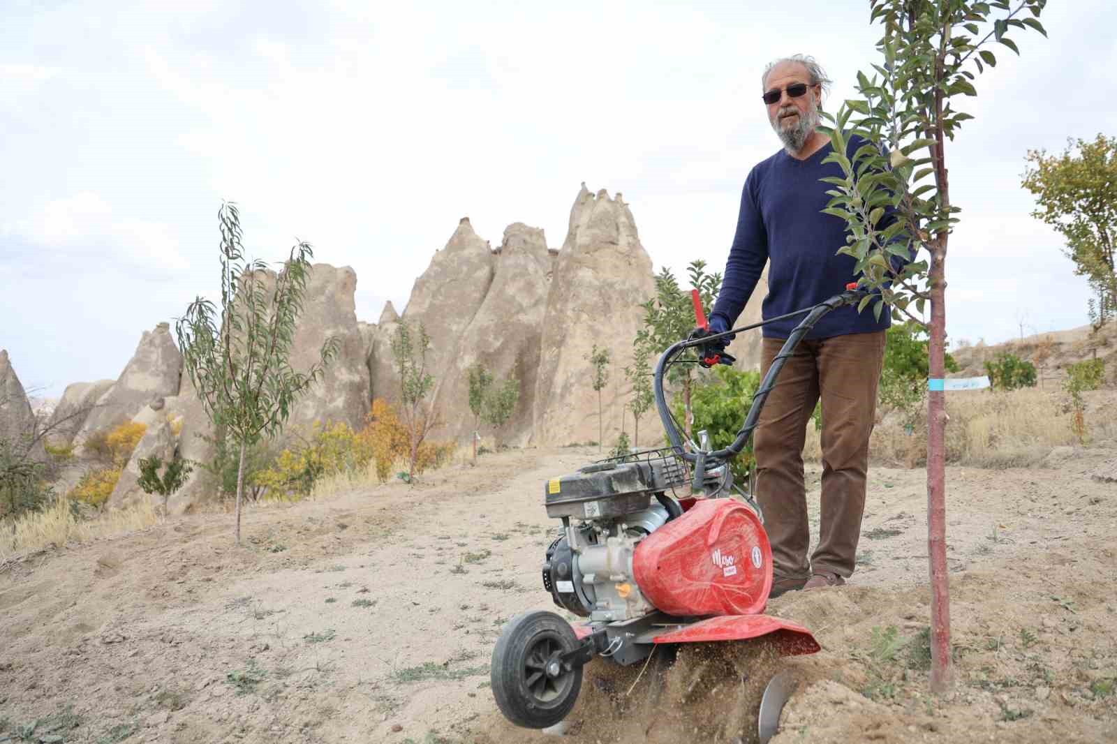 Peribacalarını ağaçlarla güzelleştiriyorlar