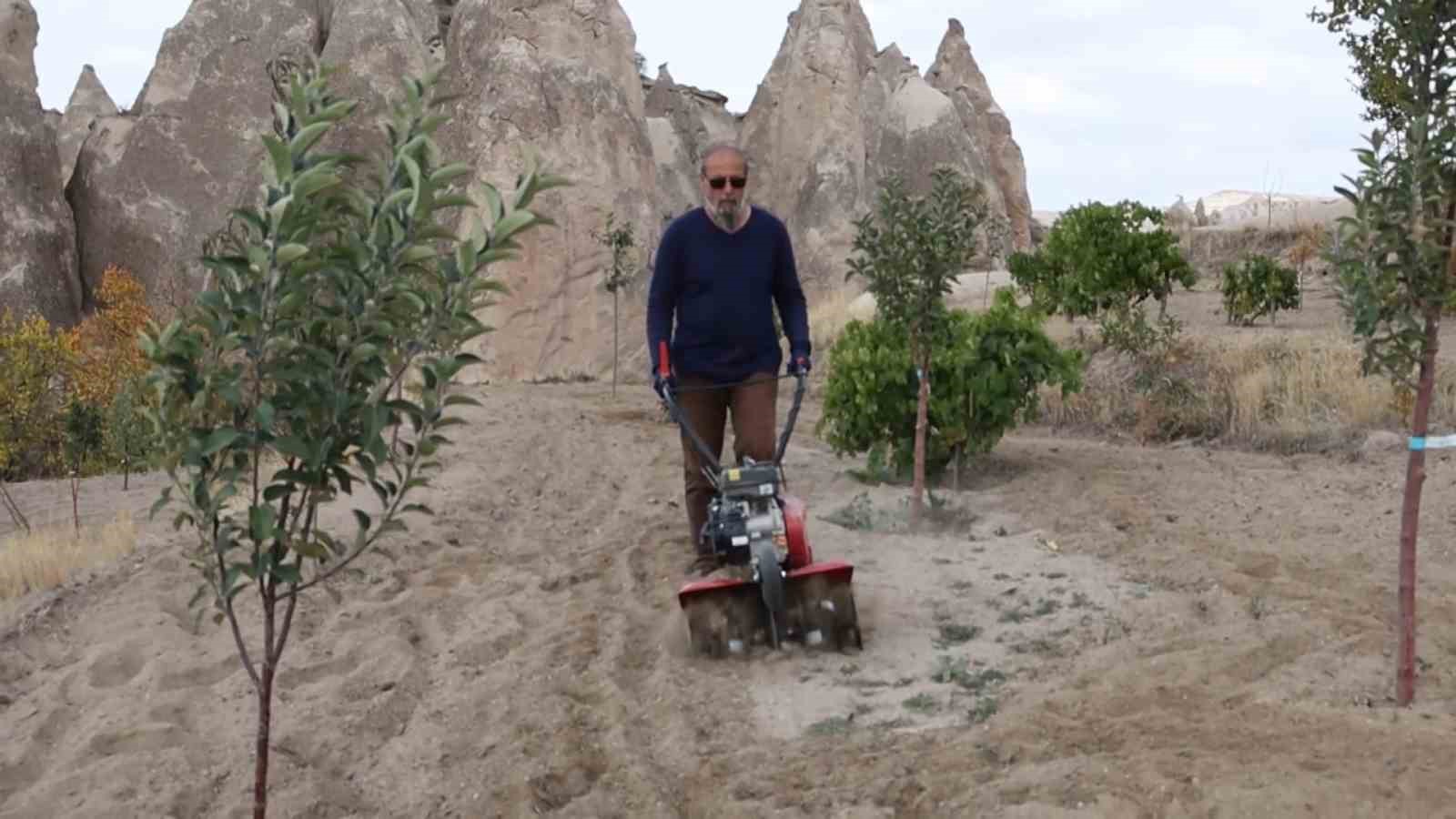 Peribacalarını ağaçlarla güzelleştiriyorlar