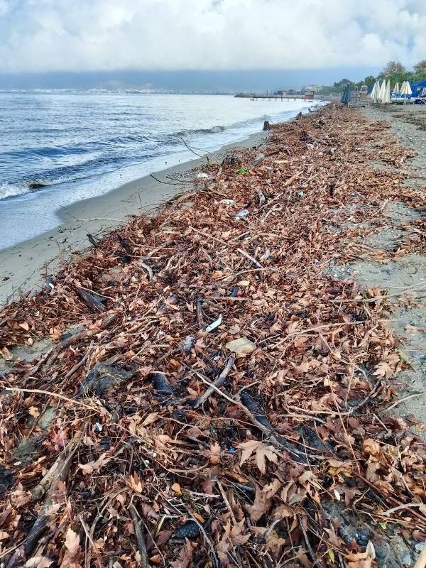 Edremit&rsquo;te şiddetli lodos, sahili ağa&ccedil; dalları ve yosunla doldurdu
