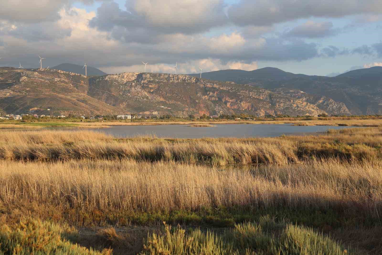 Kuraklığın etkisiyle &ccedil;&ouml;l&uuml; aratmaz hale gelen Milleyha&rsquo;da yağışlarla birlikte kuşların sesleri yankılanmaya başladı
