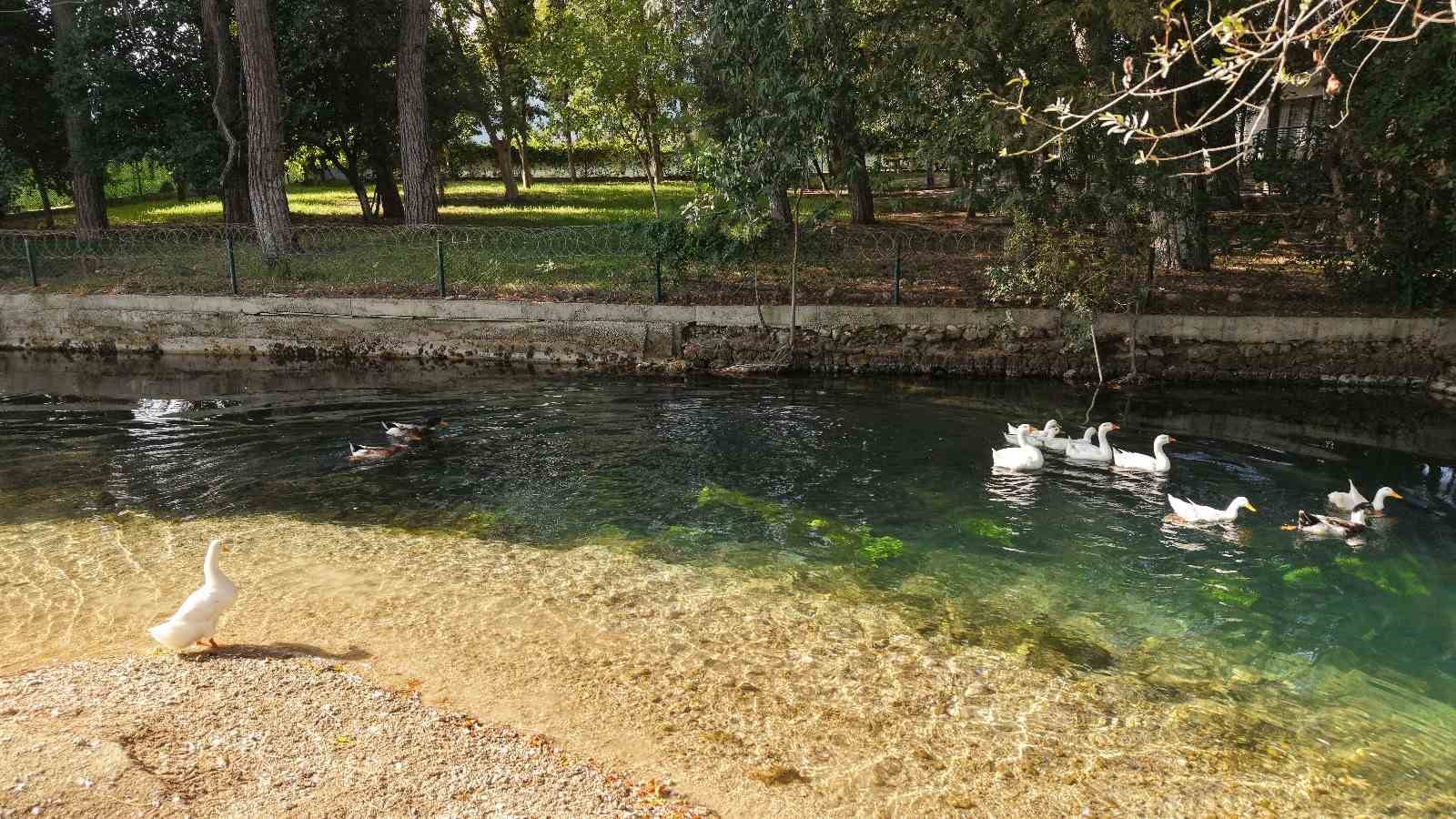 Kozan’ın tarihi ve doğal güzel alanı da kuraklıktan nasibini aldı