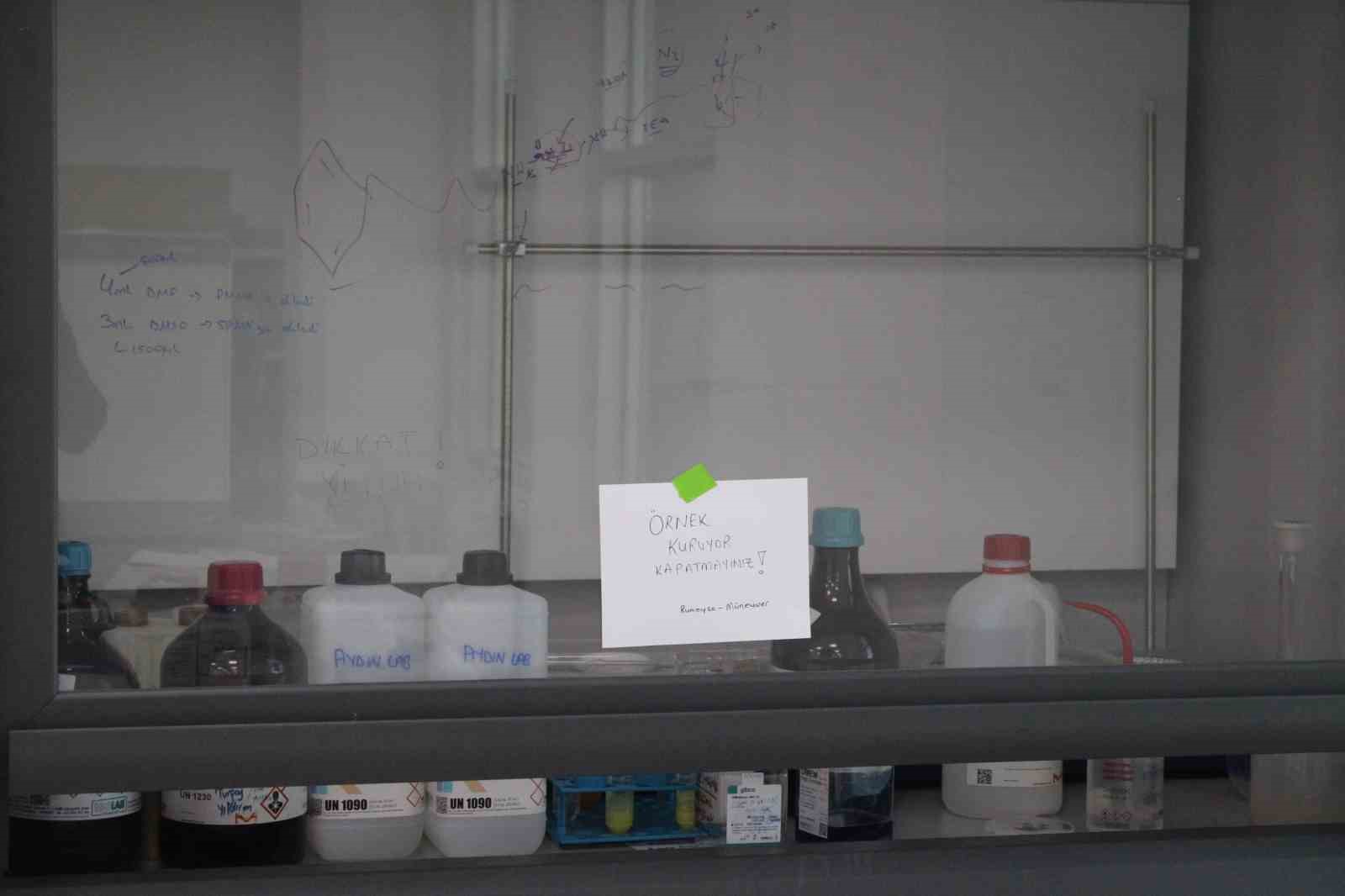 ERÜ’de hedef kanser hücreleri