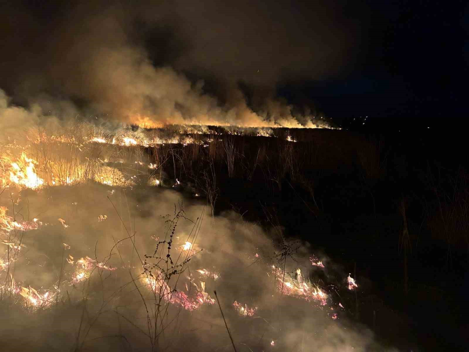Susurluk&rsquo;ta arazi yangınına hızlı m&uuml;dahale
