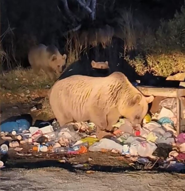 Prof. Dr. Lokman Aslan: "Yaban hayatına m&uuml;dahale ekolojik dengeyi bozuyor"
