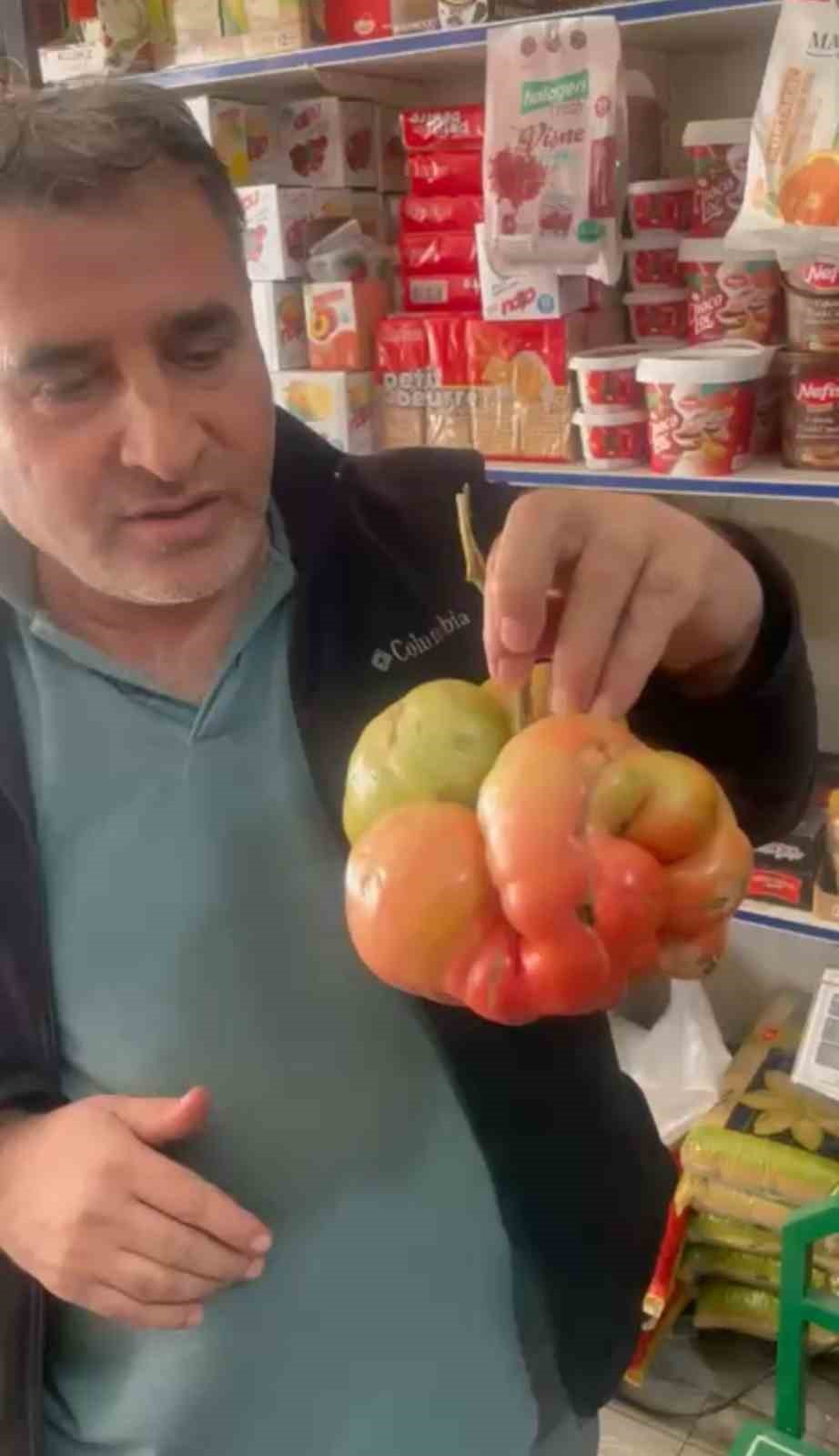 Mardin’de 1 kilo 400 gramlık domates hayrete düşürdü