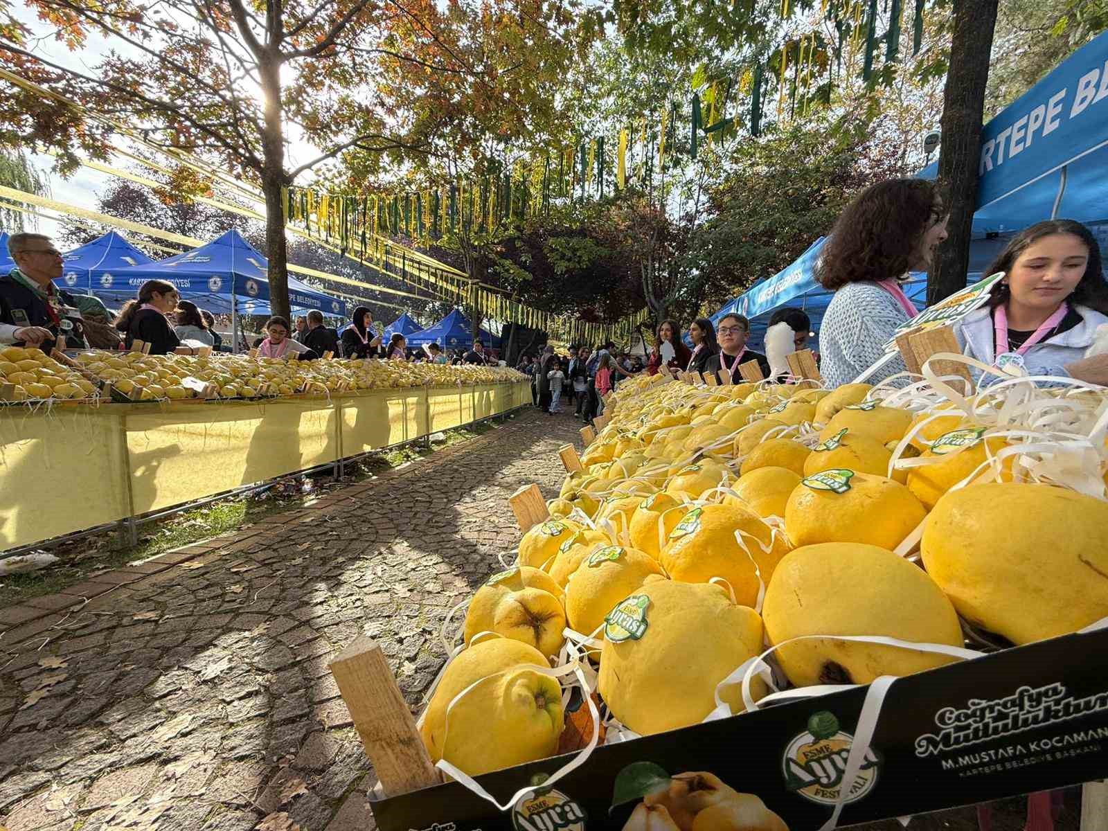 Kalitesiyle &uuml;nl&uuml; Eşme ayvası, festivalle g&ouml;r&uuml;c&uuml;ye &ccedil;ıktı
