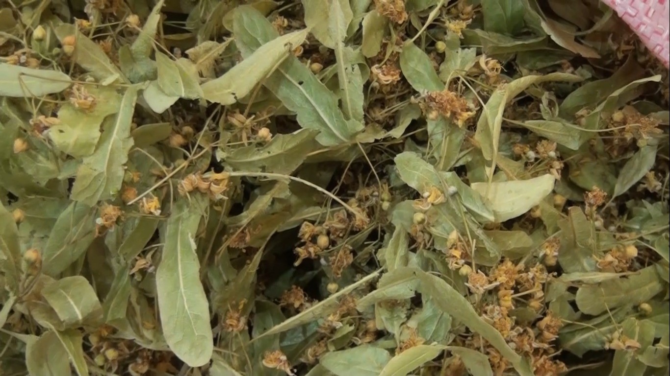 K&uuml;tahya&rsquo;da aktarlara ilgi arttı
