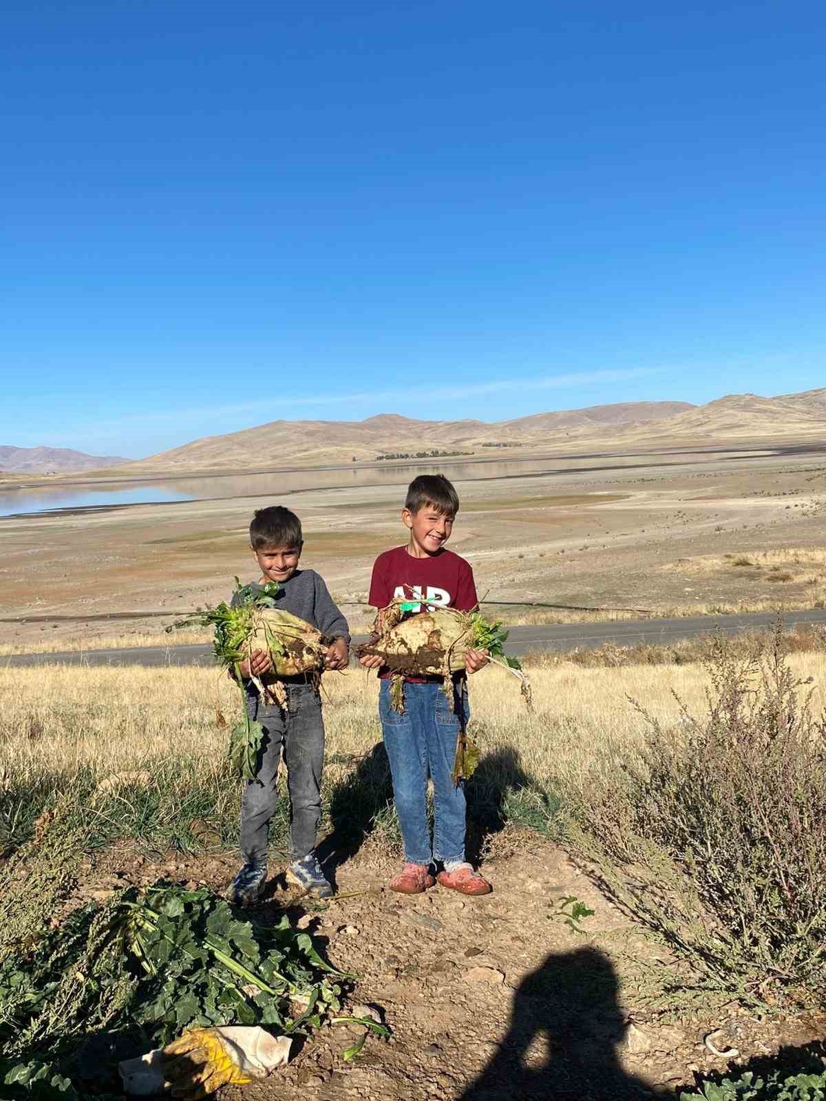Ağrı&rsquo;da şeker pancarı hasadı devam ediyor

