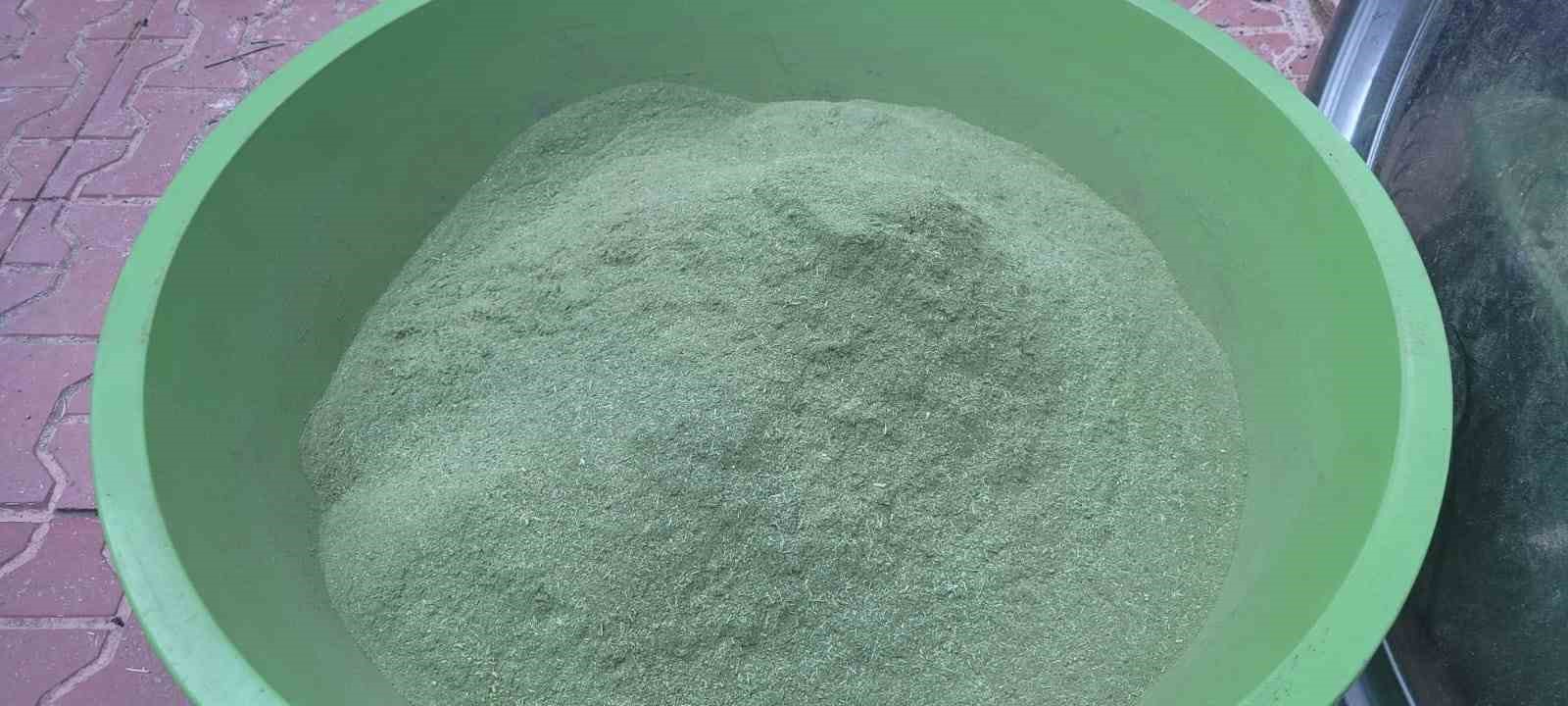 Doğanın hediyesi: 120 bitkiden oluşan zetrin baharatı yeniden keşfediliyor