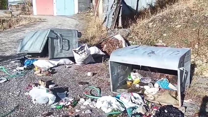 Boz ayılar Yedigölleri savaş alanına çevirdi