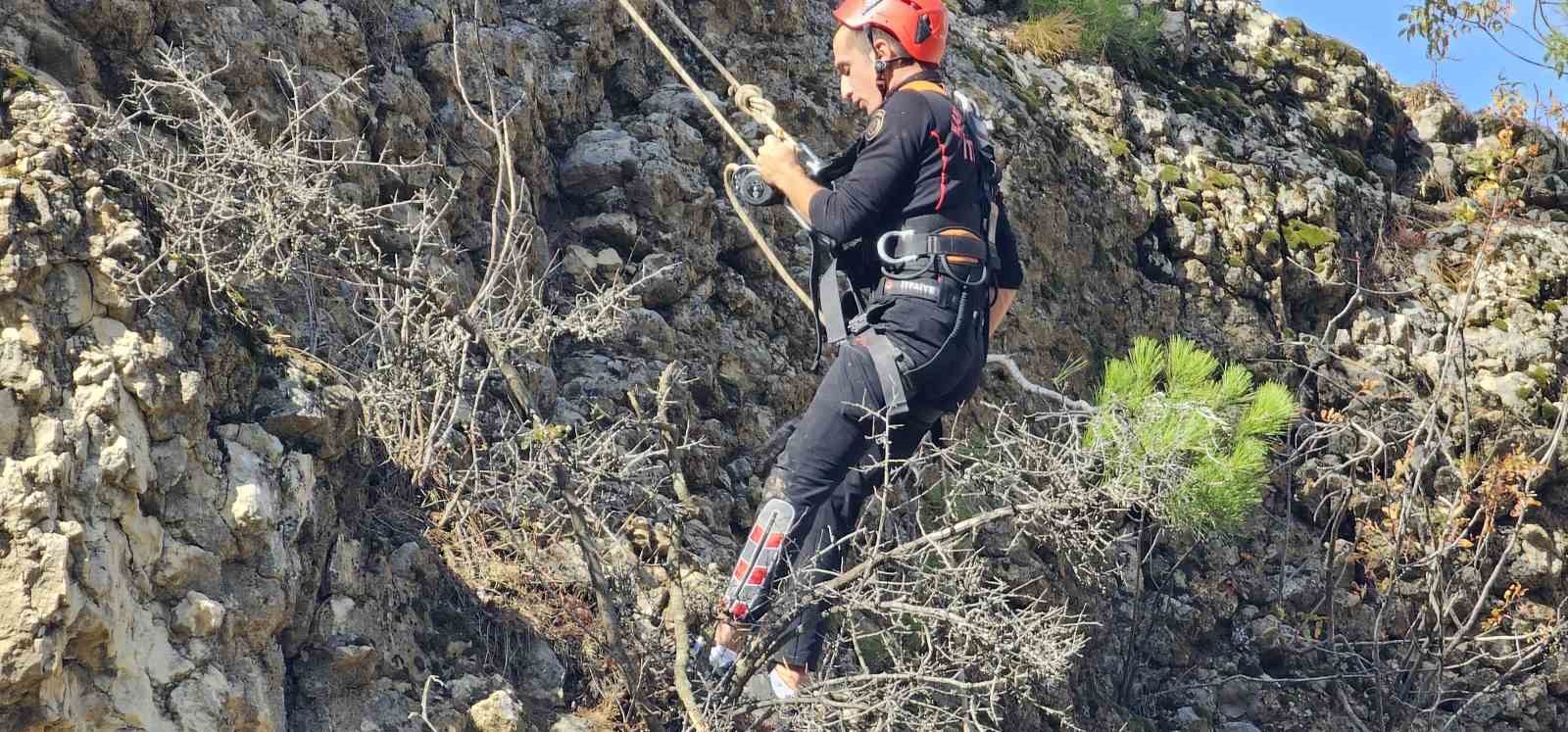 Sarp kayalıklarda mahsur kalan ke&ccedil;i kurtarıldı
