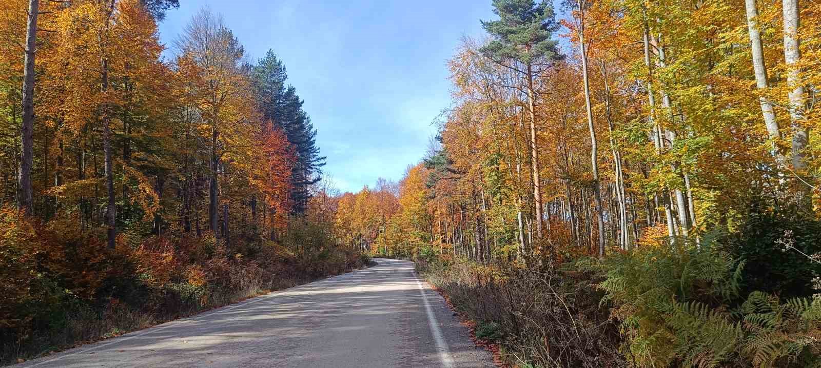 Bozcaarmut’da sonbahar büyüsü