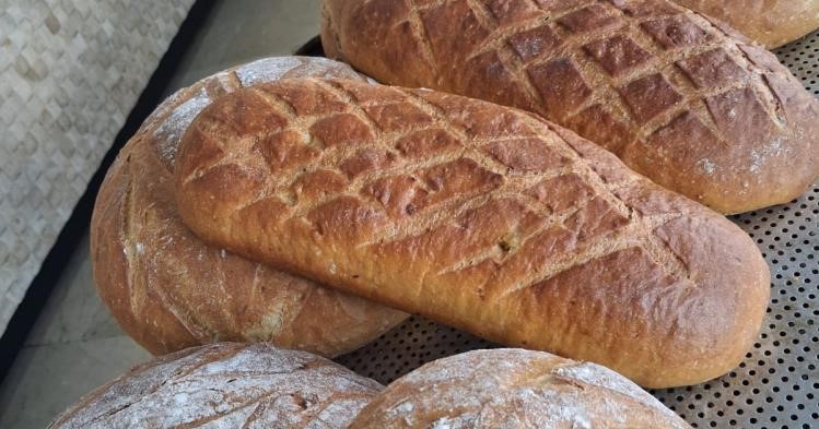 Bilecik&rsquo;te gıda teknolojisi &ouml;ğrencileri festivale damga vurdu
