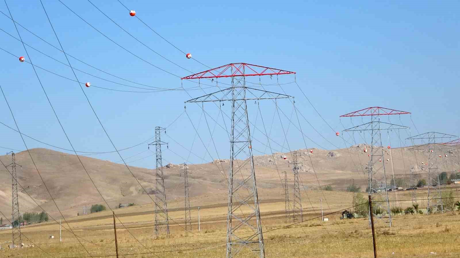 Van&rsquo;da 31 kilometrelik enerji hattı tamamlandı: &Ccedil;alışmalarda yabani kuşlar g&ouml;zetildi
