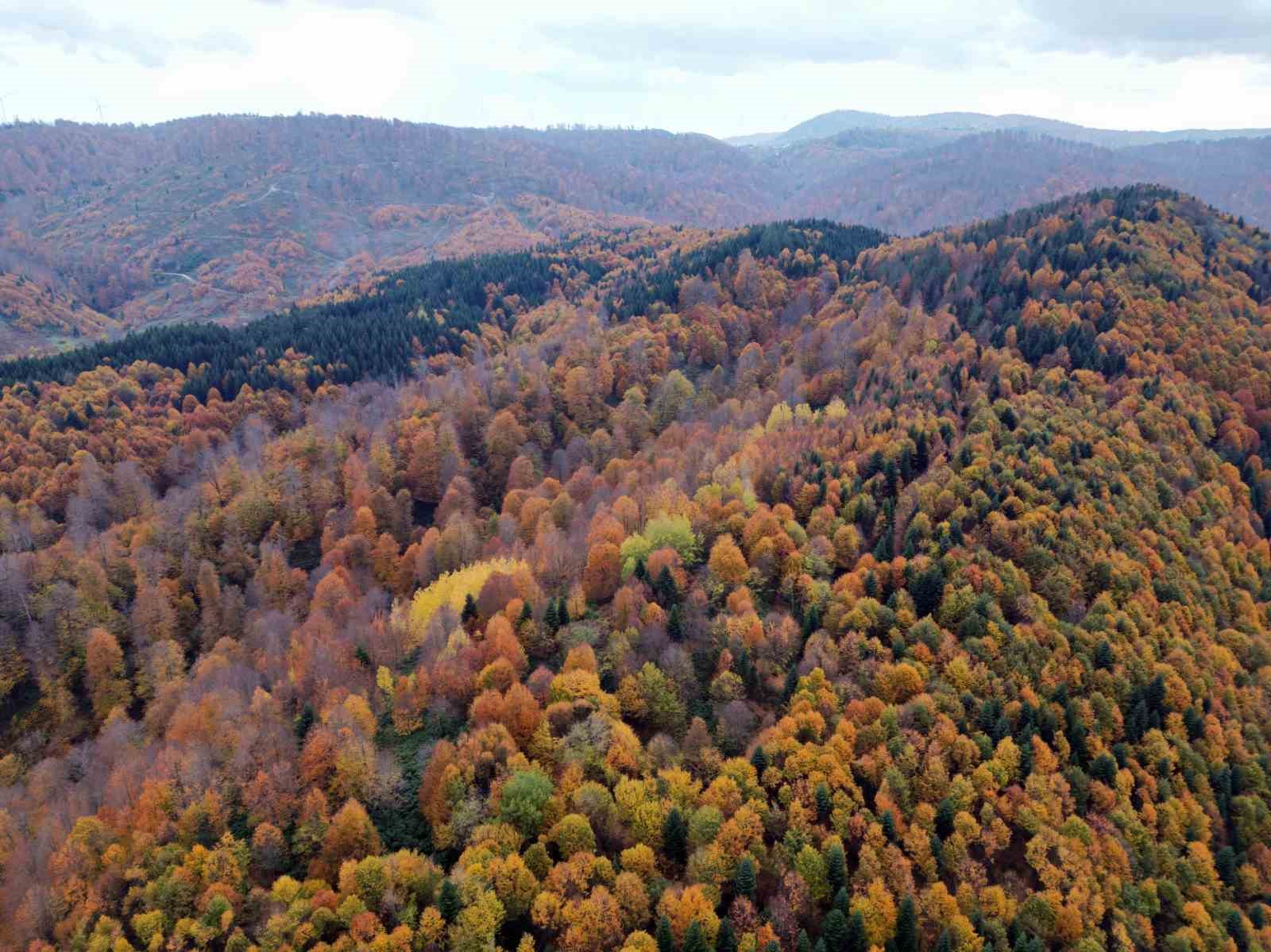 Sakarya’da sonbahar güzelliği göz kamaştırıyor