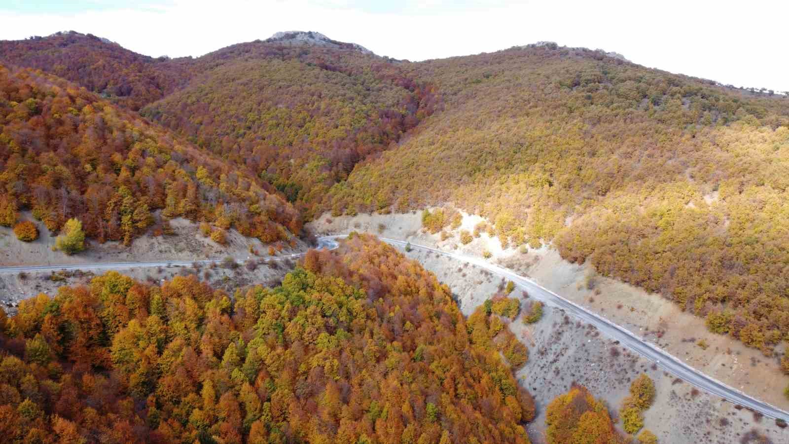 Adeta doğada bir tablo, Şebek Geçidi'nde sonbahar güzelliği mest ediyor