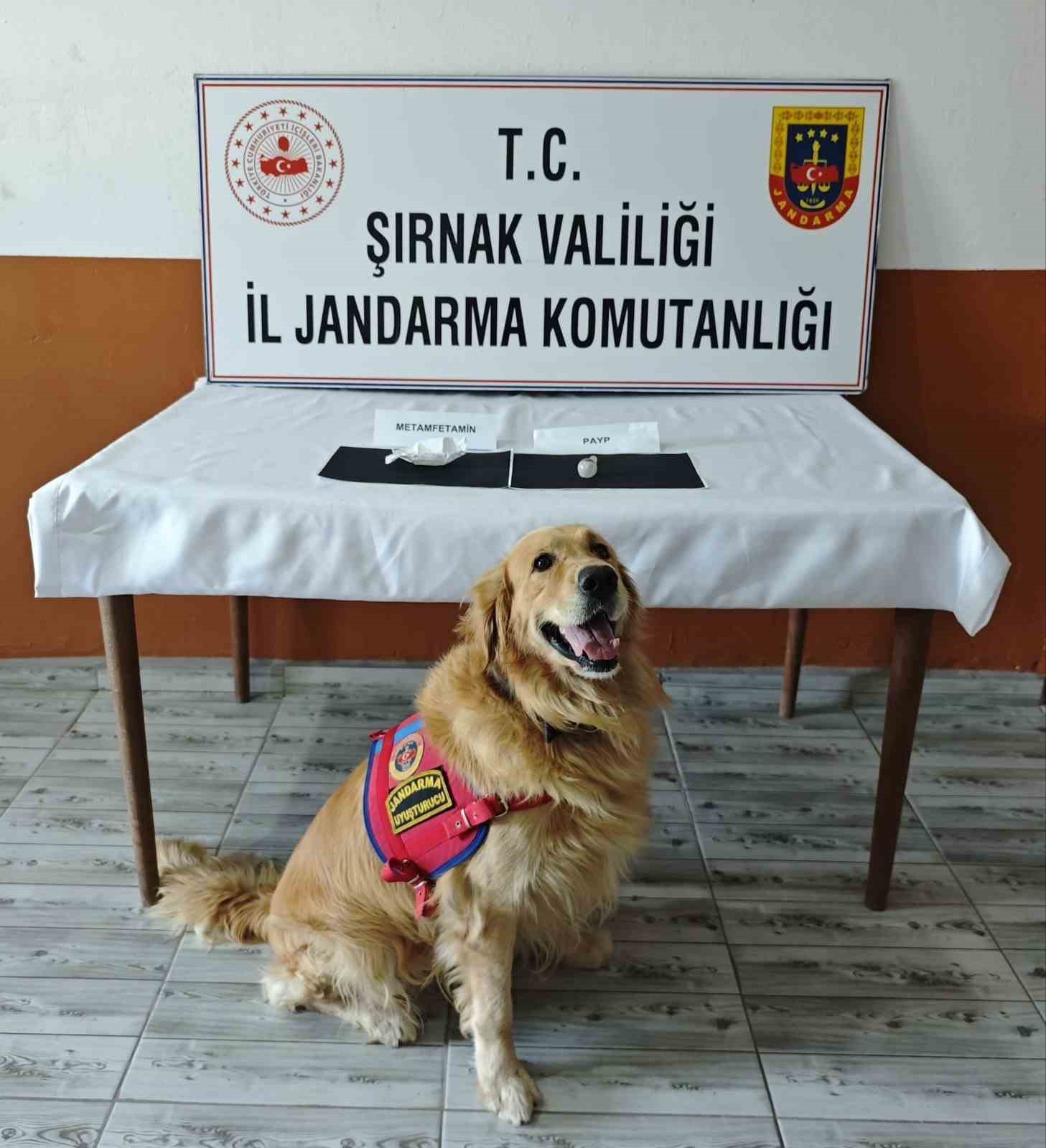 Şırnak&rsquo;ta ka&ccedil;ak&ccedil;ılığa b&uuml;y&uuml;k darbe: 10,6 milyon liralık malzeme ele ge&ccedil;irildi
