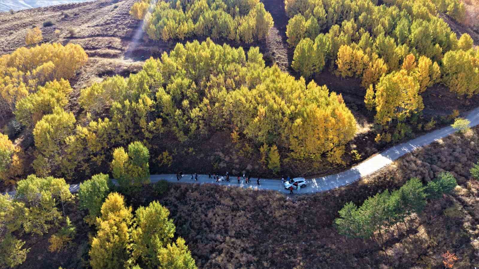 Muş&rsquo;ta doğaseverler sonbaharın renkleri arasında y&uuml;r&uuml;y&uuml;ş yaptı
