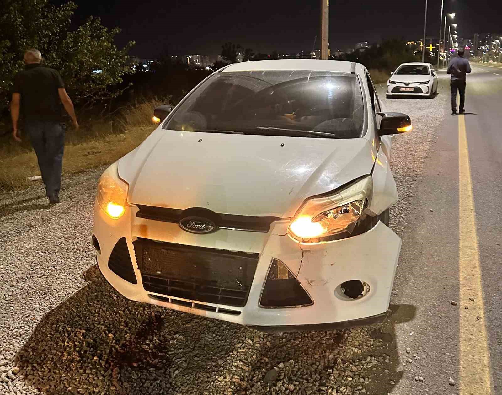 Malatya’da otomobilin çarptığı domuz telef oldu