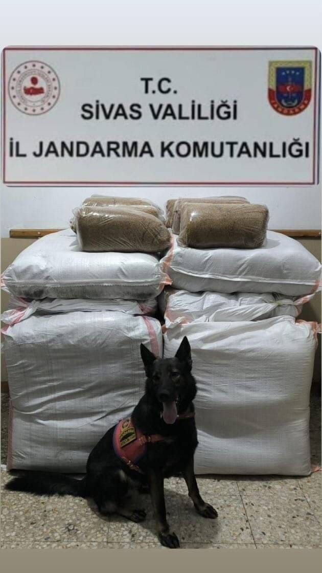 Sivas&rsquo;ta ka&ccedil;ak t&uuml;t&uuml;n operasyonu,  4 Ş&uuml;pheli yakalandı
