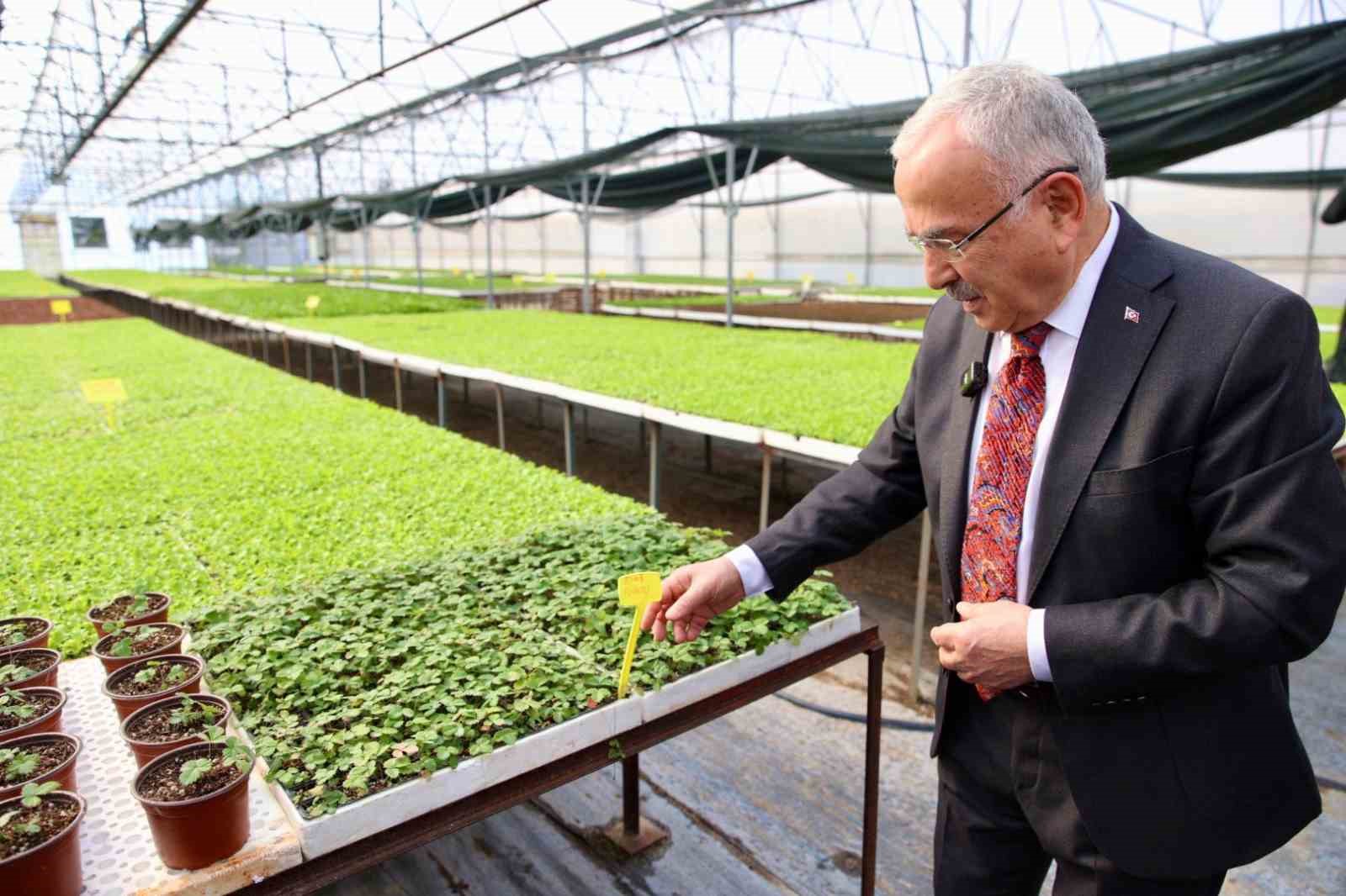 Başkan G&uuml;ler: "&Uuml;rettiğimiz 4 milyon 600 bin fideyi &uuml;reticilerimize dağıttık"
