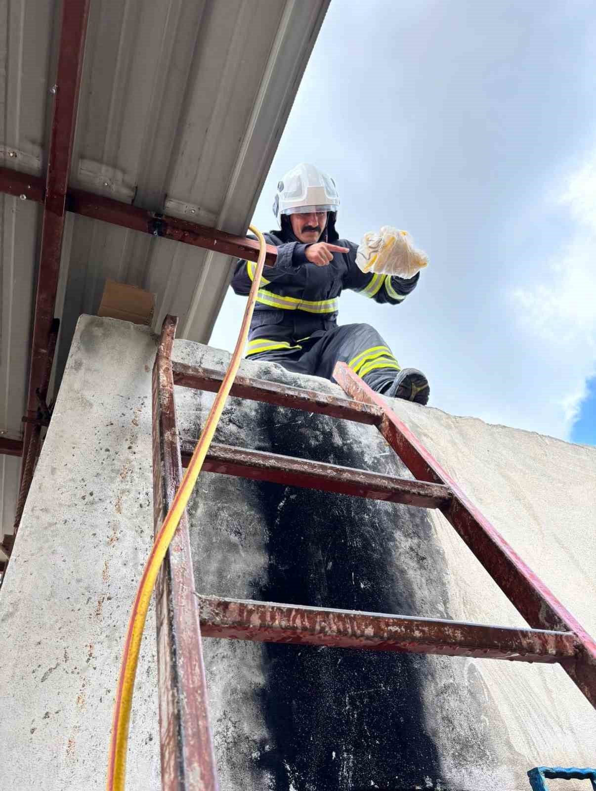 Hatay&rsquo;da eve giren 2 yılanı itfaiye yakaladı

