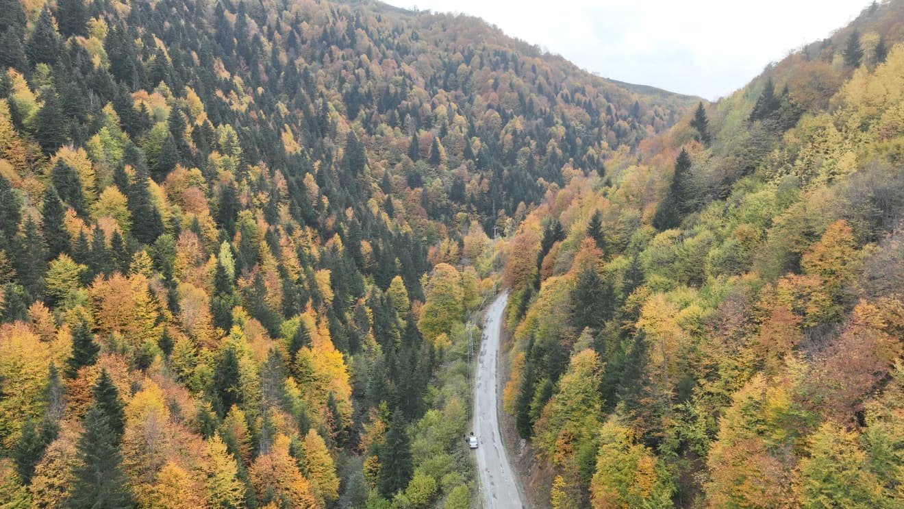 Sonbaharın tüm renkleri Kuzalan Tabiat Parkı ve Kulakkaya Yaylası’nda buluştu
