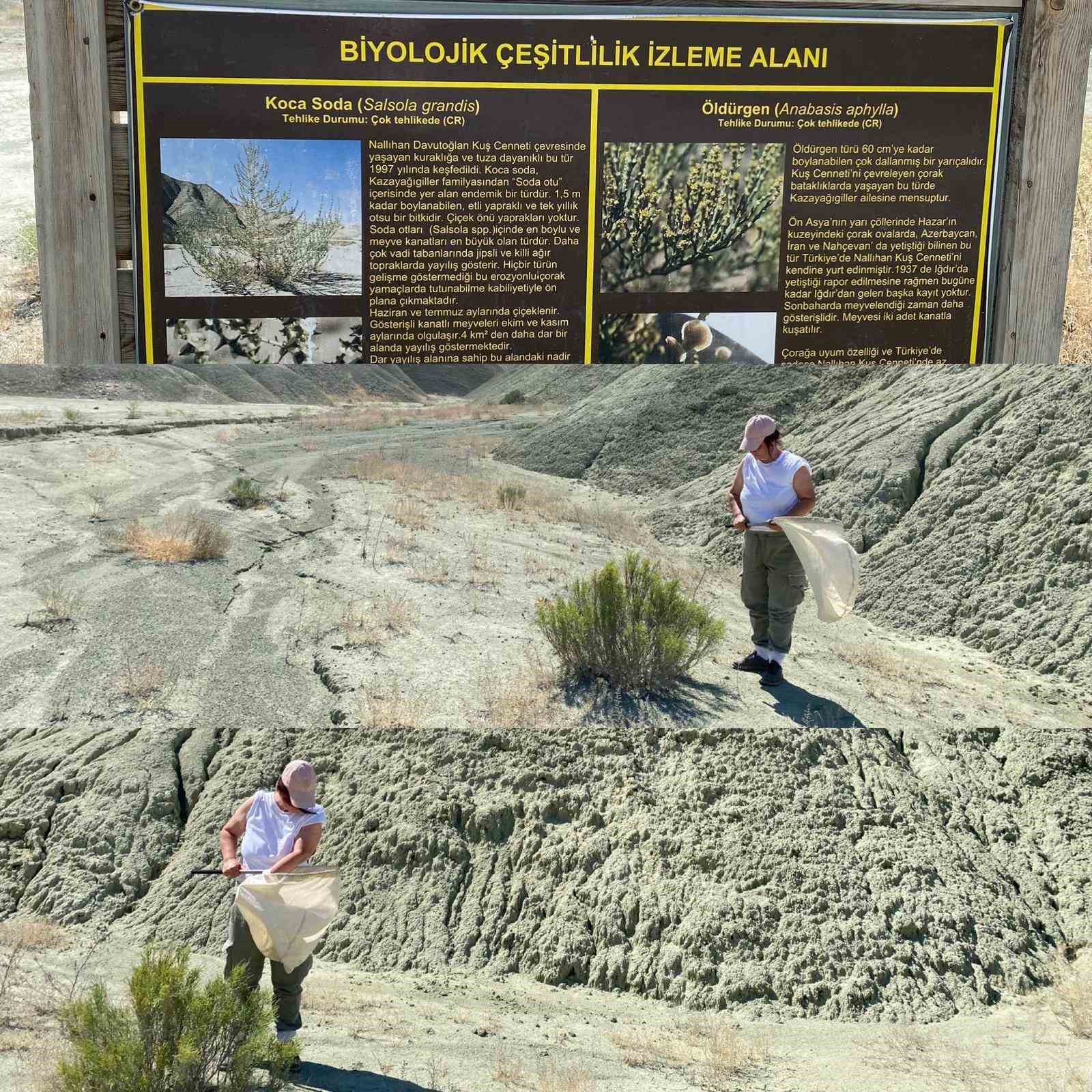 Atat&uuml;rk &Uuml;niversitesinden iki uluslararası projeye T&uuml;bitak&rsquo;tan 37 milyon destek
