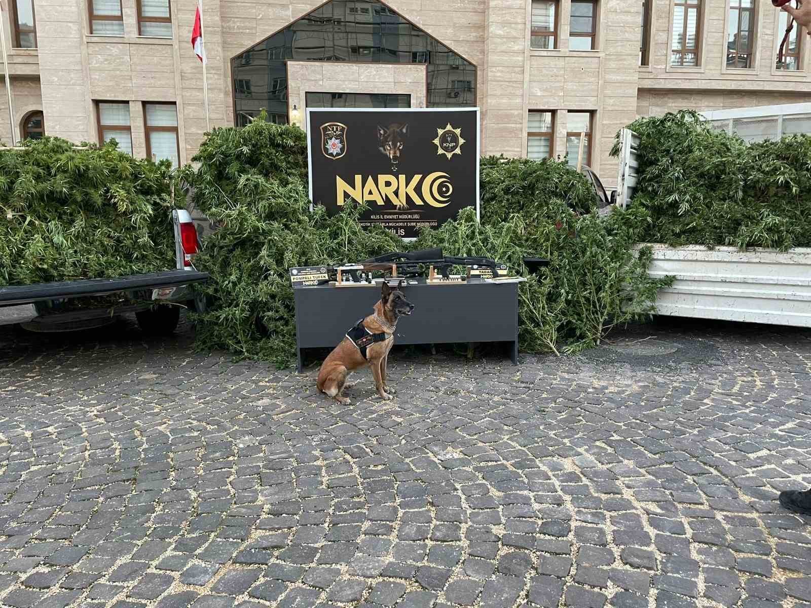 Kilis’te uyuşturucu operasyonu: 1 tutuklama