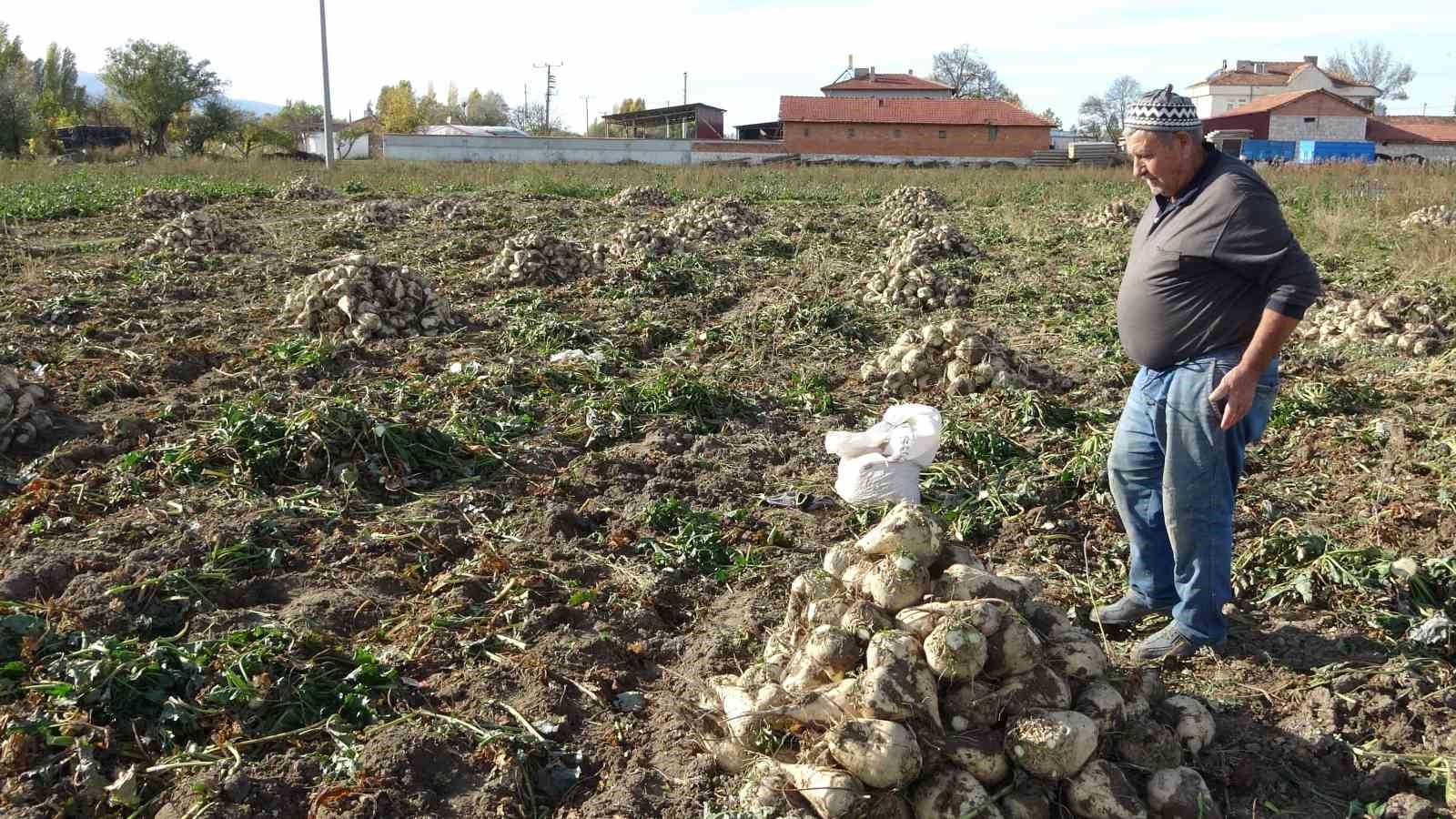 Kütahya’da pancar hasadı başladı 3 Kütahya’da pancar hasadı başladı