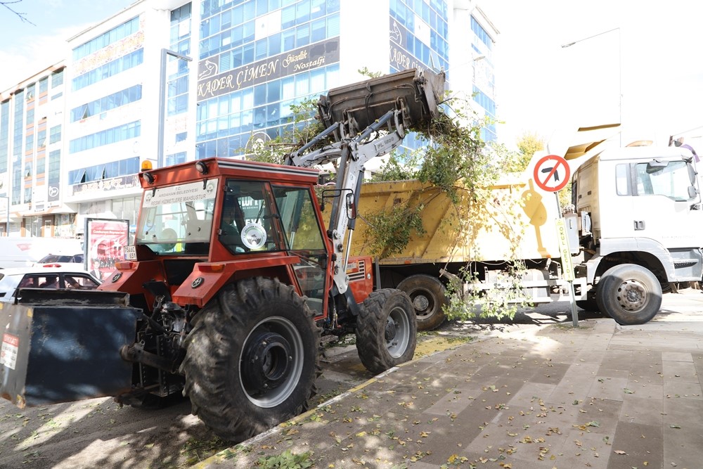 Ardahan Belediyesi’nin ağaç budama çalışmaları devam ediyor