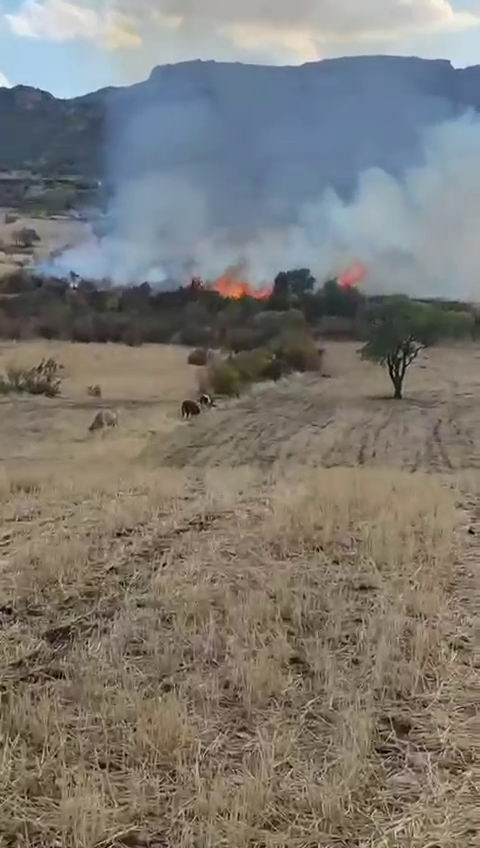 Diyarbakır’da otluk yangını