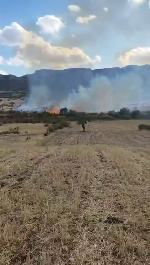 Diyarbakır&rsquo;da otluk yangını
