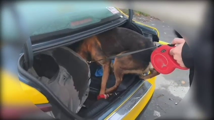 İstanbul’dan Sakarya’ya uyuşturucu getiren şüpheli tutuklandı