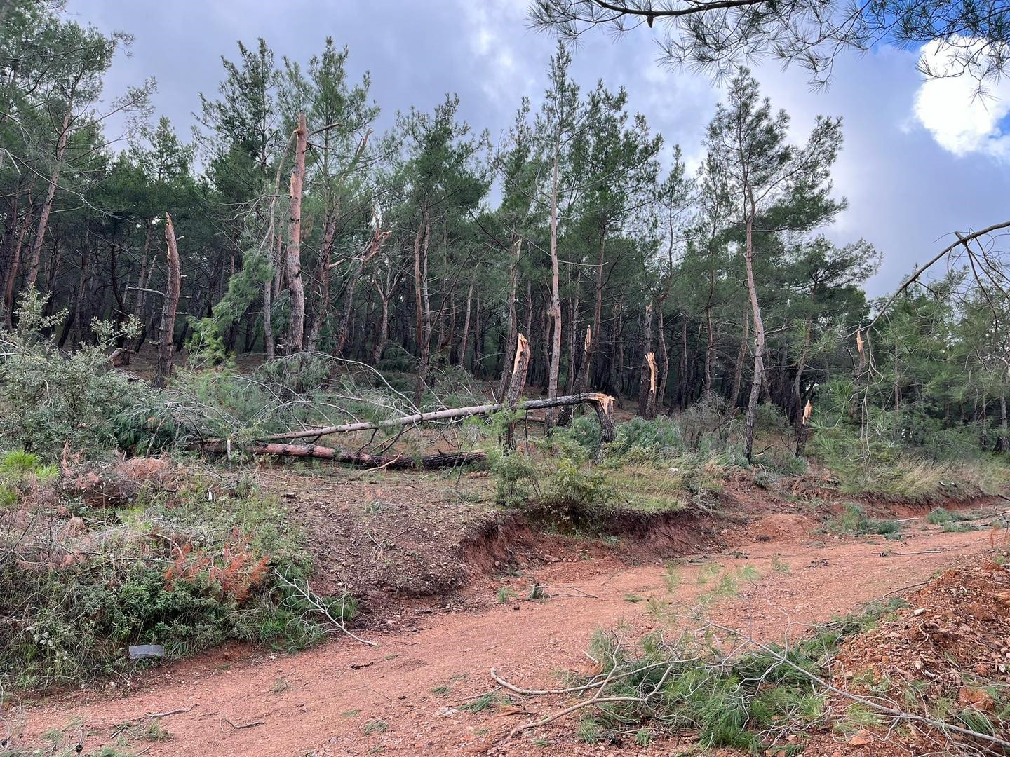 Hortum ve yıldırım Havran’da hasara yol açtı