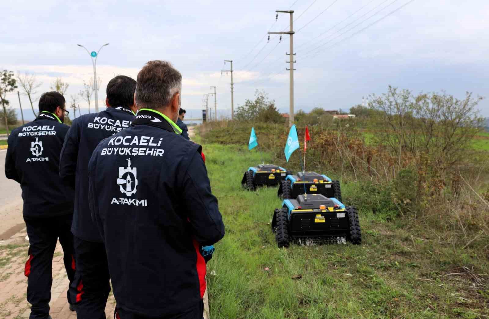 Dar alanların yeni gücü: "Çalı Canavarı"