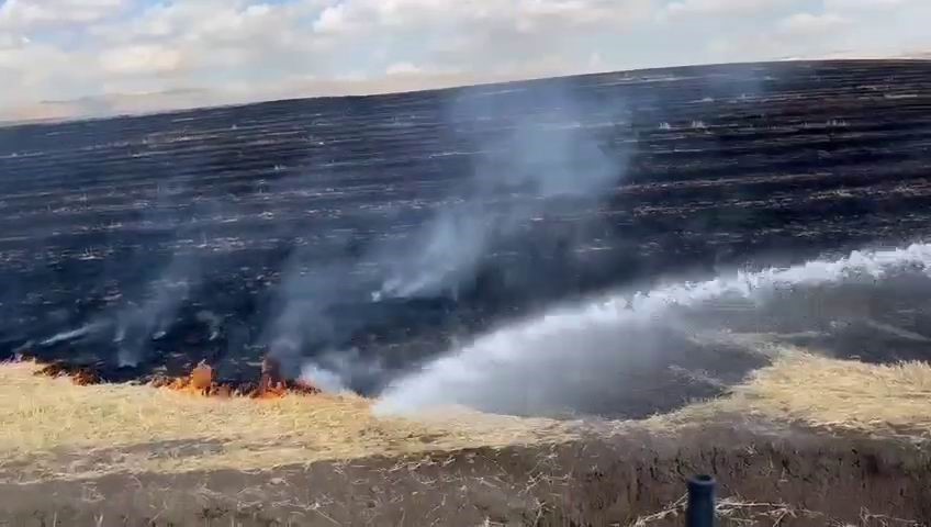 Diyarbakır’da anız yangını