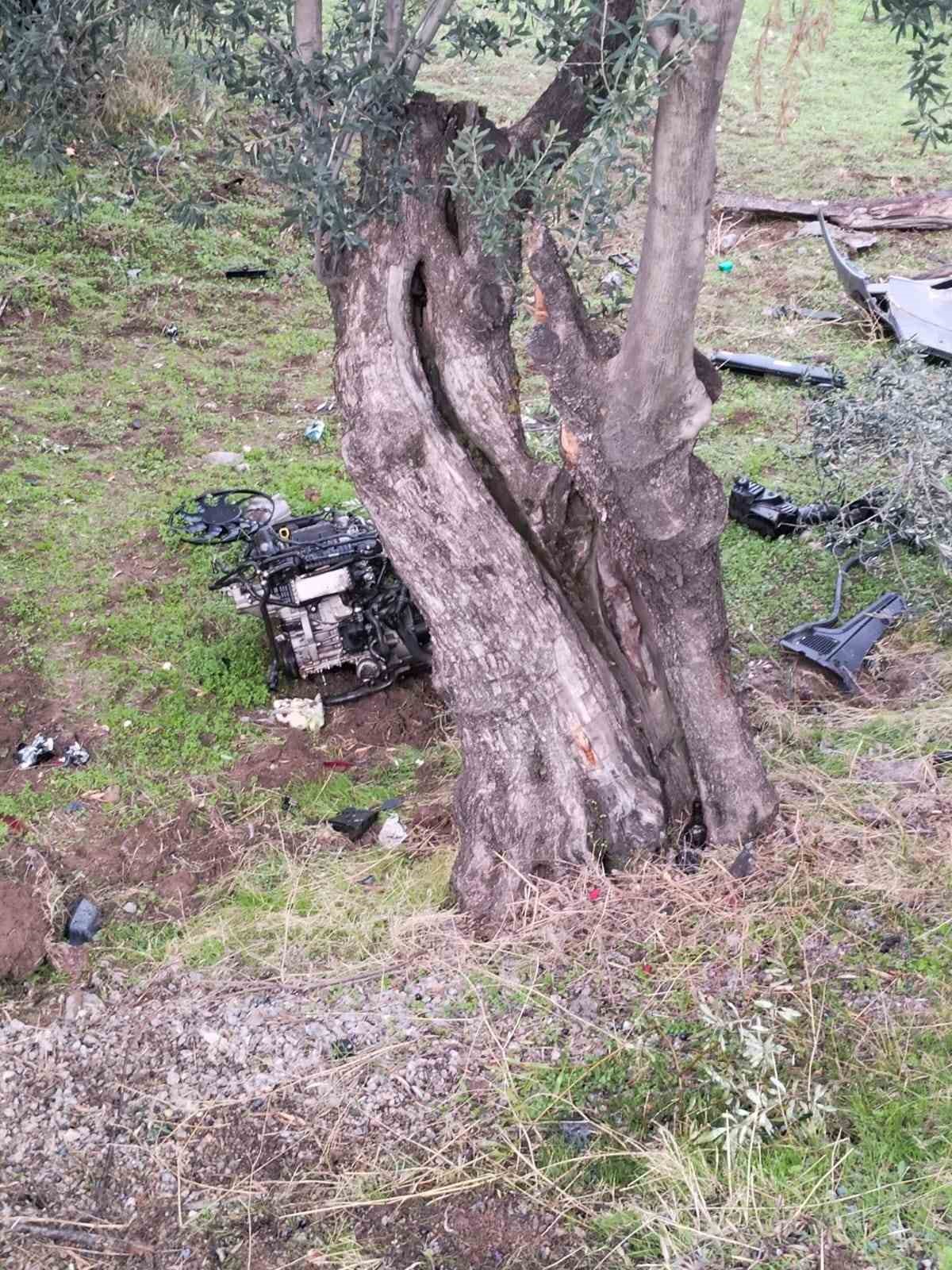 Kontrol&uuml; kaybetti zeytin bah&ccedil;esine u&ccedil;tu: 2 yaralı
