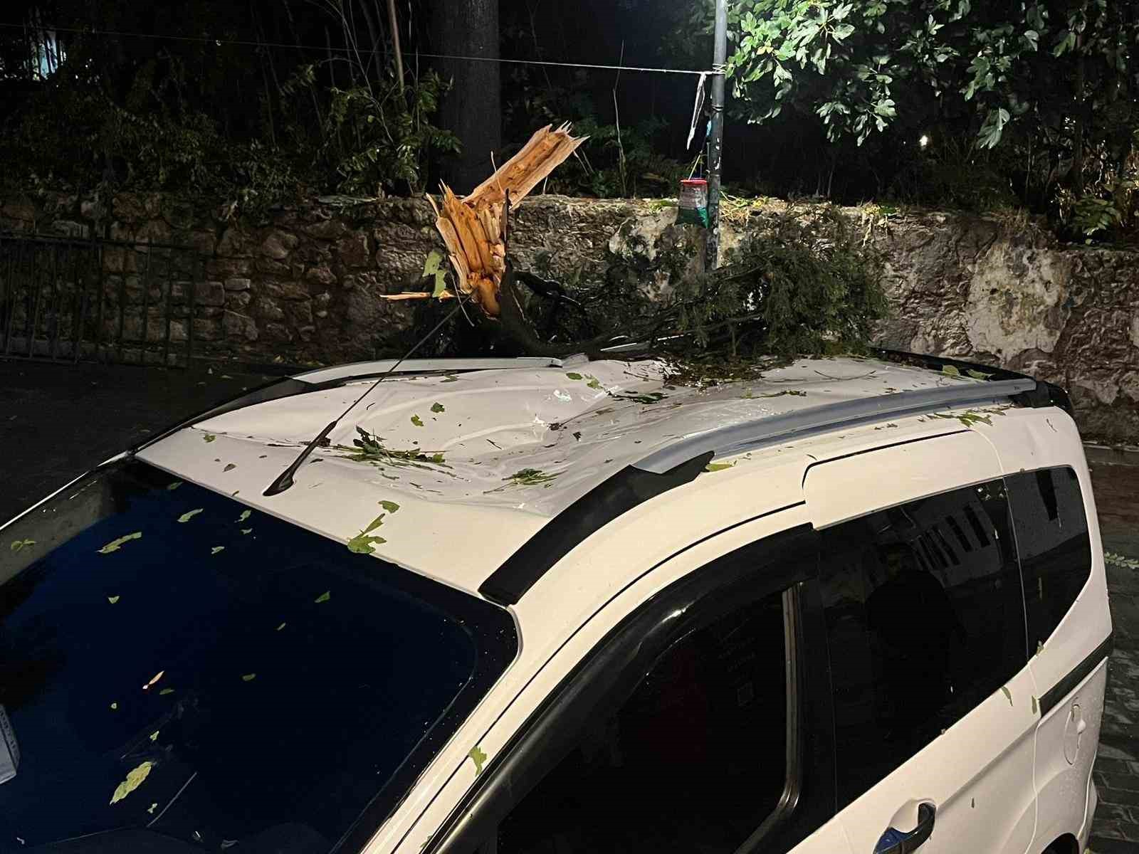 Fırtınanın devirdiği ağa&ccedil; park halindeki aracın &uuml;zerine d&uuml;şt&uuml;
